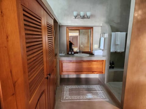 Deluxe Suite | Bathroom | Shower, rainfall showerhead, hair dryer, towels