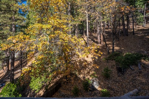 Cabin, Multiple Beds, Patio, Mountain View (Timber Lodge Yosemite) | View from room