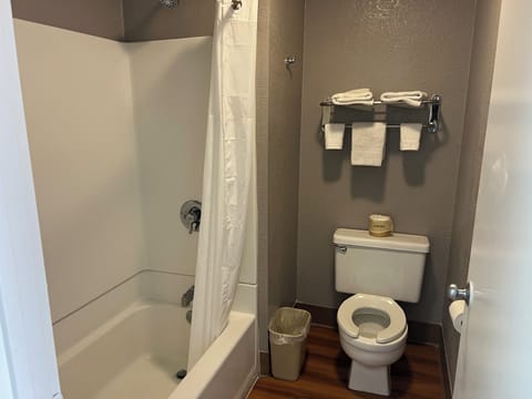 Standard Room, 1 Queen Bed, Accessible, Non Smoking | Bathroom | Separate tub and shower, rainfall showerhead, towels, soap