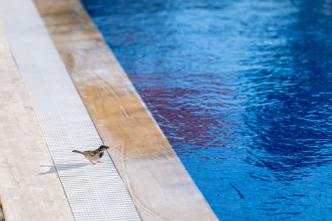 Seasonal outdoor pool