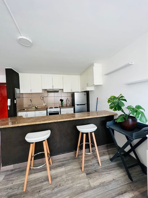 Business Apartment, City View | Private kitchen | Microwave, oven, dishwasher, blender