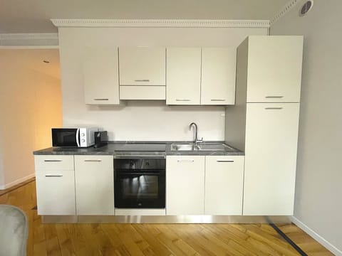 Panoramic Apartment | Private kitchen | Full-size fridge, microwave, oven, stovetop