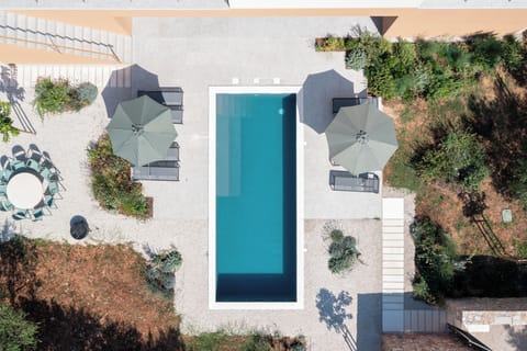 The pool is the centrepiece of a beautiful Mediteranean garden.