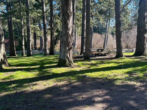 Beautiful beach park for you relaxation!
