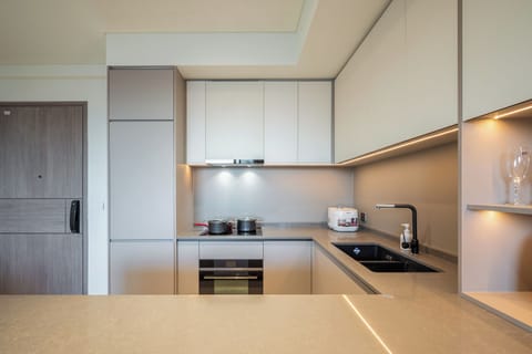 Deluxe Apartment, 2 Bedrooms, Balcony, City View | Private kitchen | Fridge, microwave, oven, stovetop