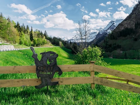 Immediate Surroundings [summer] (&lt;1 km)