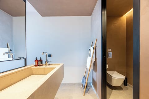 Deluxe Suite | Bathroom | Shower, rainfall showerhead, free toiletries, hair dryer