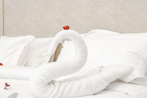 Honeymoon Double Room | Egyptian cotton sheets, premium bedding, memory foam beds