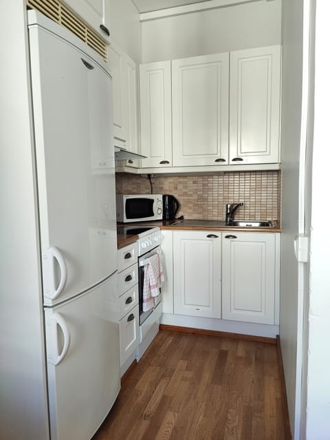 Basic Apartment, City View | Private kitchen | Fridge, microwave, oven, stovetop