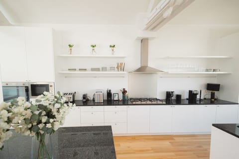 Luxury Penthouse, Garden Area | Private kitchen | Fridge, microwave, oven, dishwasher