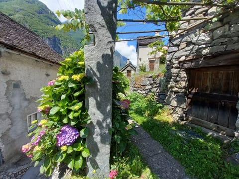 Room, 4 Bedrooms, Balcony, Garden View | Property grounds