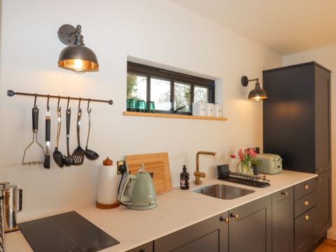 Dishwasher, electric kettle, toaster, cookware/dishes/utensils