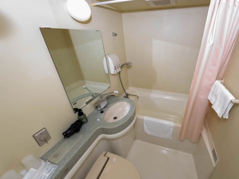 Combined shower/tub, free toiletries, hair dryer, electronic bidet