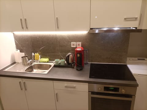 City Apartment | Private kitchen | Fridge, microwave, oven, stovetop