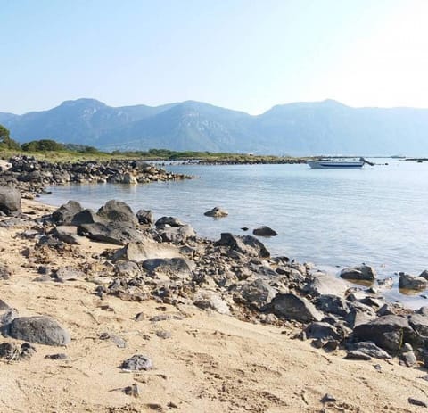 Apartment | 1 bedroom, Internet