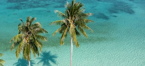 Beach nearby, white sand