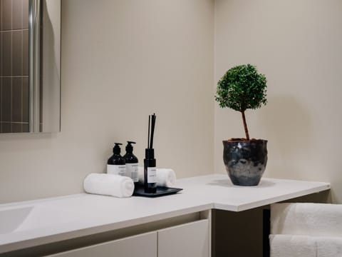Premium Apartment | Bathroom | Free toiletries, hair dryer, bathrobes, slippers