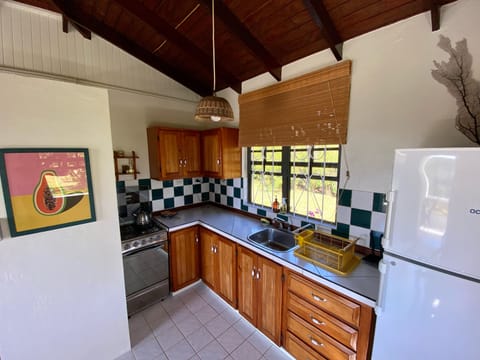 Cottage, Ocean View | Private kitchen | Full-size fridge, oven, stovetop, coffee/tea maker