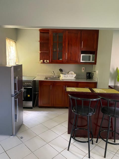Comfort Apartment | Private kitchen | Fridge, microwave, stovetop, rice cooker