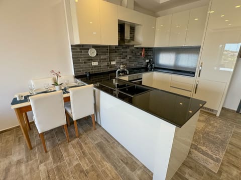 penthouse-d7 kitchen2