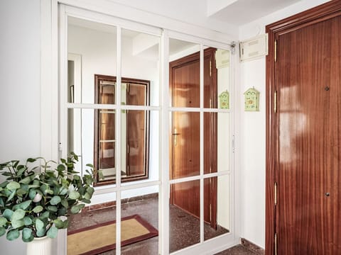 Plant, Property, Window, Building, Door, Wood, Flowerpot, Houseplant, Interior Design