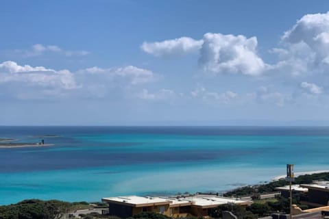 Region [summer] (&gt;5 km)