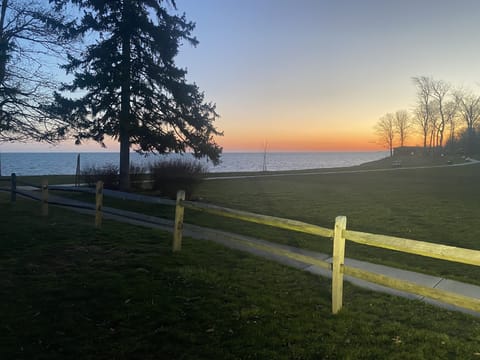 Image picker 04EBA165 A678 41D5 9515 8E4A57B51F1E 12553 0000086362880175