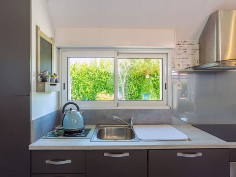 Kitchen Sink, Sink, Tap, Cabinetry, Countertop, Property, Window, White, Plumbing Fixture, Plant