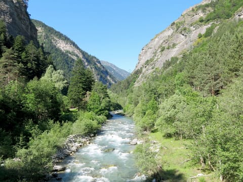 Water, Sky, Cloud, Water Resources, Azure, Tree, Natural Landscape, Beach, Coastal And Oceanic Landforms, Plant