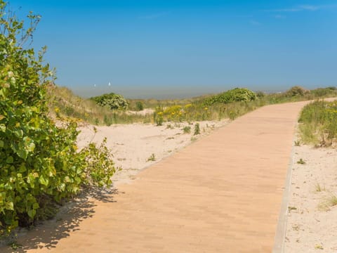 Sky, Plant, Plant Community, Ecoregion, Azure, Natural Landscape, Road Surface, Landscape, Slope, Thoroughfare