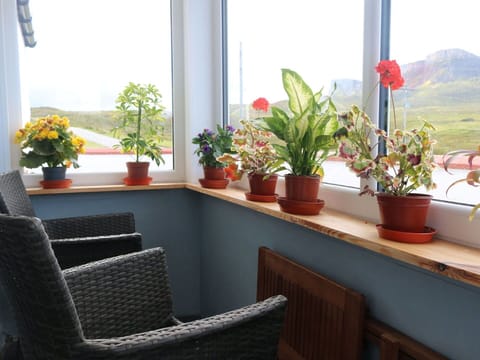 Plant, Flower, Property, Window, Houseplant, Flowerpot, Wood, Botany, Interior Design, Sky