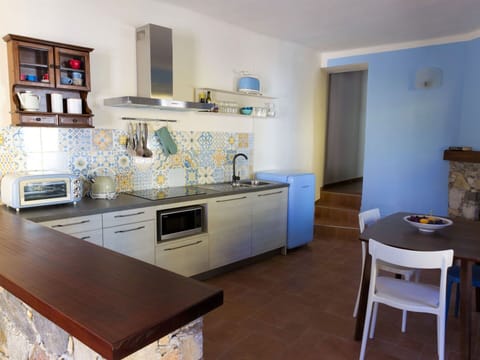 Kitchen Sink, Cabinetry, Sink, Furniture, Property, Tap, Countertop, Blue, Kitchen Appliance, Table