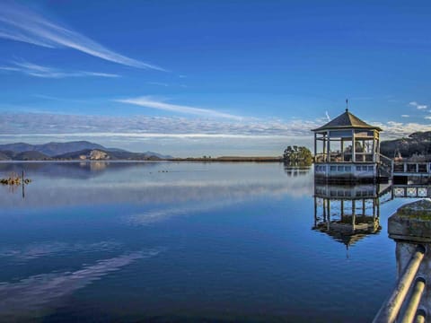 Plant, Sky, Property, Building, Flowerpot, Cloud, Architecture, Window, Table, Outdoor Furniture