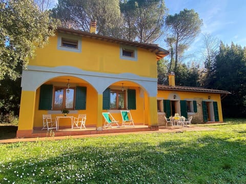 Plant, Building, Sky, Window, Tree, House, Door, Shade, Architecture, Cloud