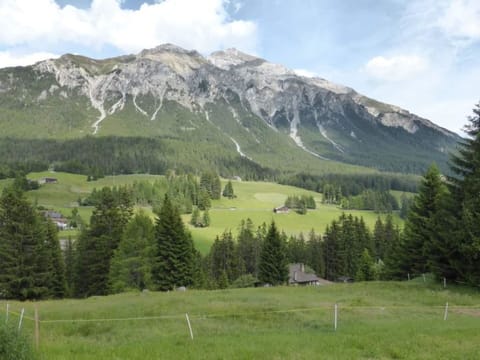 Cloud, Sky, Mountain, Ecoregion, Natural Landscape, Nature, Natural Environment, Slope, Tree, Plant