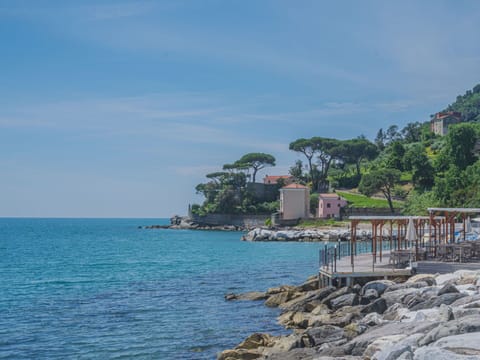 Water, Sky, Cloud, Azure, Tree, Plant, Bank, Lake, Arecales, Beach