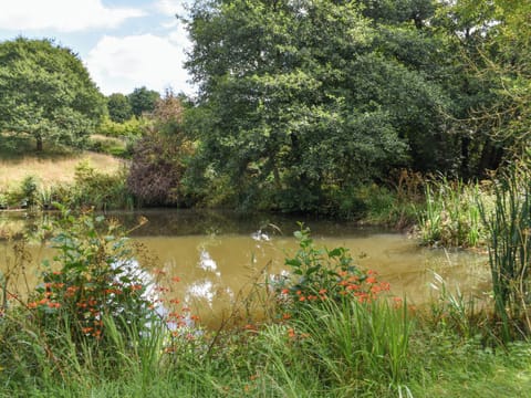 Cottage | Miscellaneous