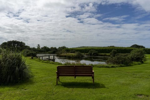 Cnwc Y Boidy garden bench overlooking the pond with a jetty