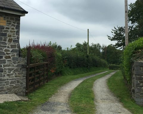 Drive and gate at Brynonnen