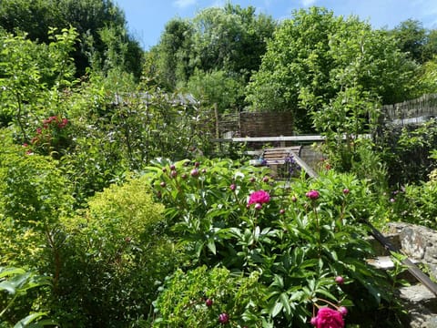 Garden at Craiglea with raised deck area and outdoor bench