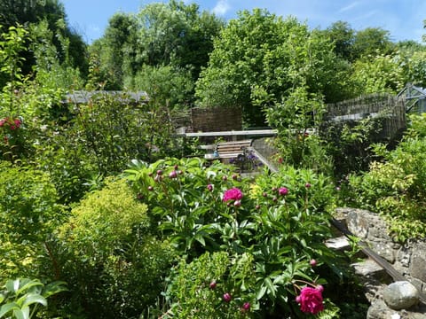 Garden at Craiglea, plants and shrubs, steps leading to seating area with bench