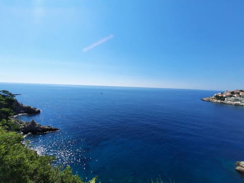 Sky, Building, Snow, Plant, Window, Tree, House, Freezing, Slope, Natural Landscape