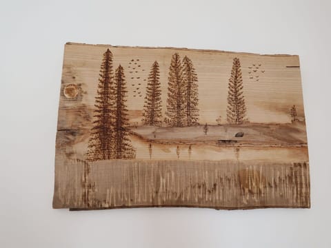 Brown, Rectangle, Wood, Tree, Evergreen, Tints And Shades, Plant, Hardwood, Landscape, Font