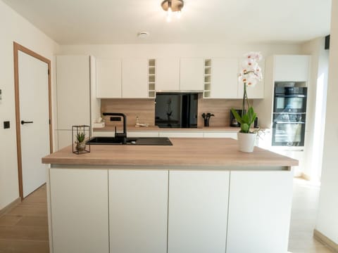 Cabinetry, Property, Countertop, Sink, Kitchen Sink, Wood, Interior Design, Floor, Flooring, Houseplant