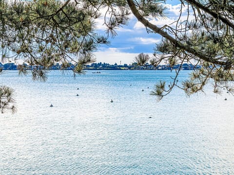 Blue, Water, Water Resources, Daytime, Body Of Water, Nature, Branch, Lake