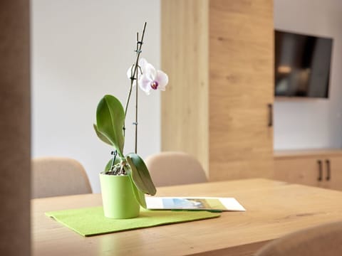 Plant, Table, Houseplant, Wood, Terrestrial Plant, Twig, Petal, Audio Equipment, Flooring, Rectangle