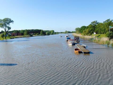 Sky, Water, Water Resources, Vehicle, Boat, Plant, Asphalt, Tree, Watercraft, Lake