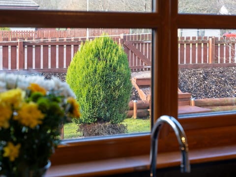 Plant, Property, Botany, Flower, Leaf, Wood, Grass, Wall, Real Estate, Tints And Shades