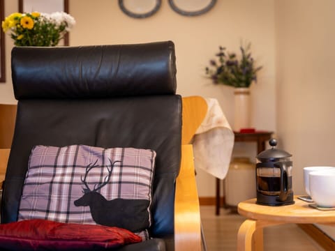 Plant, Houseplant, Comfort, Orange, Textile, Table, Yellow, Interior Design, Wood, Cup