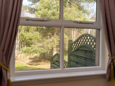 Plant, Window, Tree, Shade, Wood, Interior Design, Building, Curtain, Wall